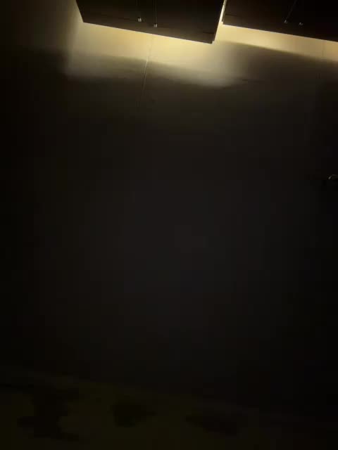 Chemezoff Cam Model Chat November 19, 2025