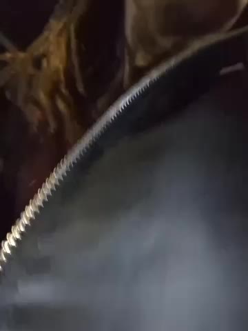 DarkDea Cam Model Chat November 19, 2025