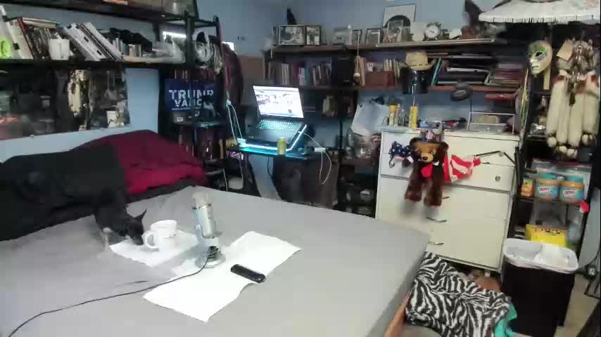 pink_black Cam Model Chat November 20, 2025