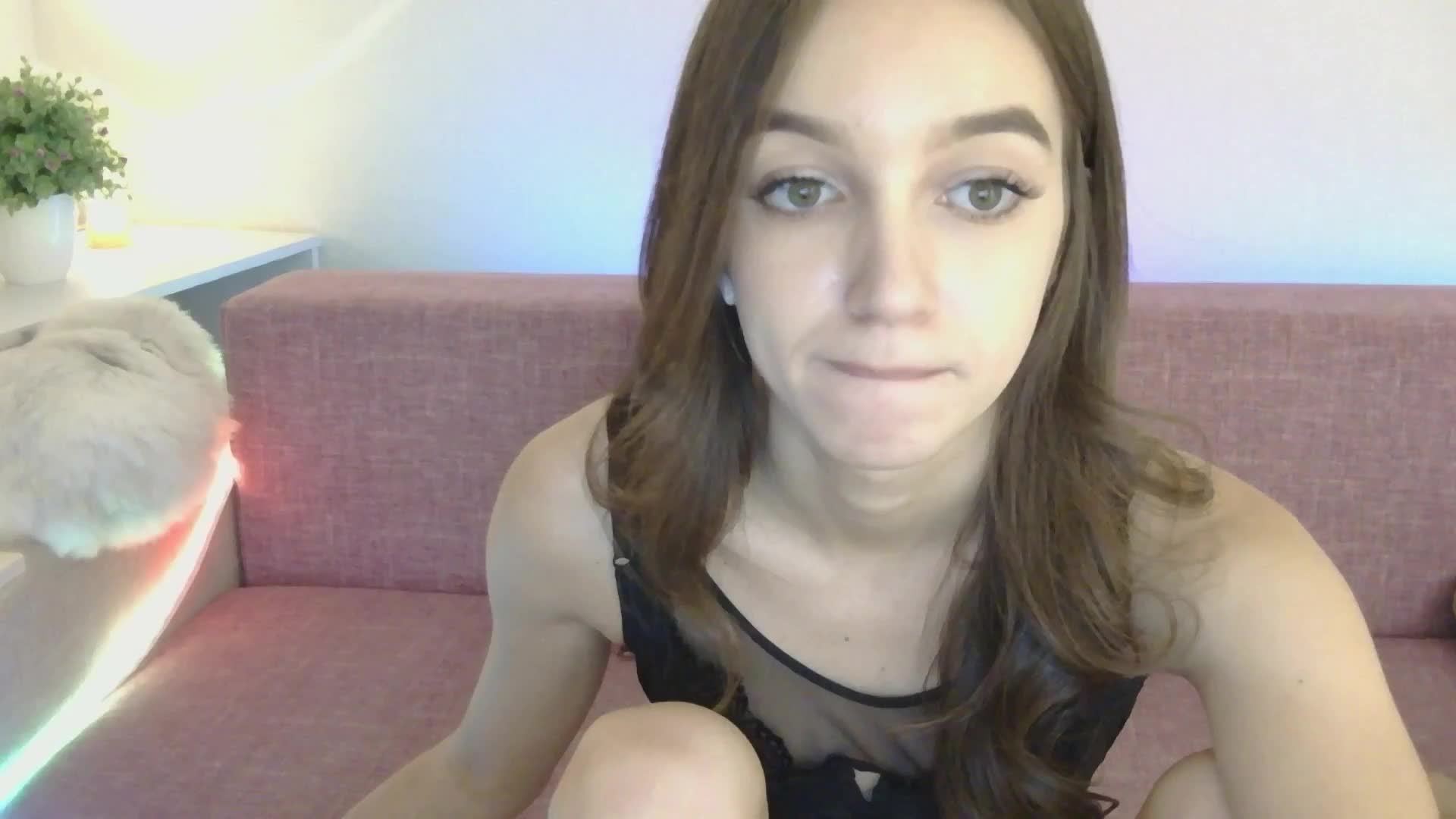 NotSoSweetDasha Cam Model Chat November 20, 2025