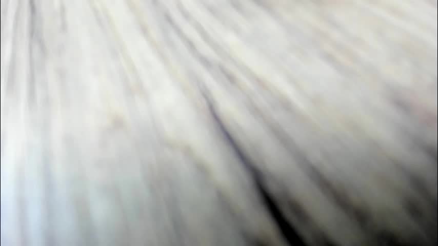 synop_sis Cam Model Chat November 21, 2025