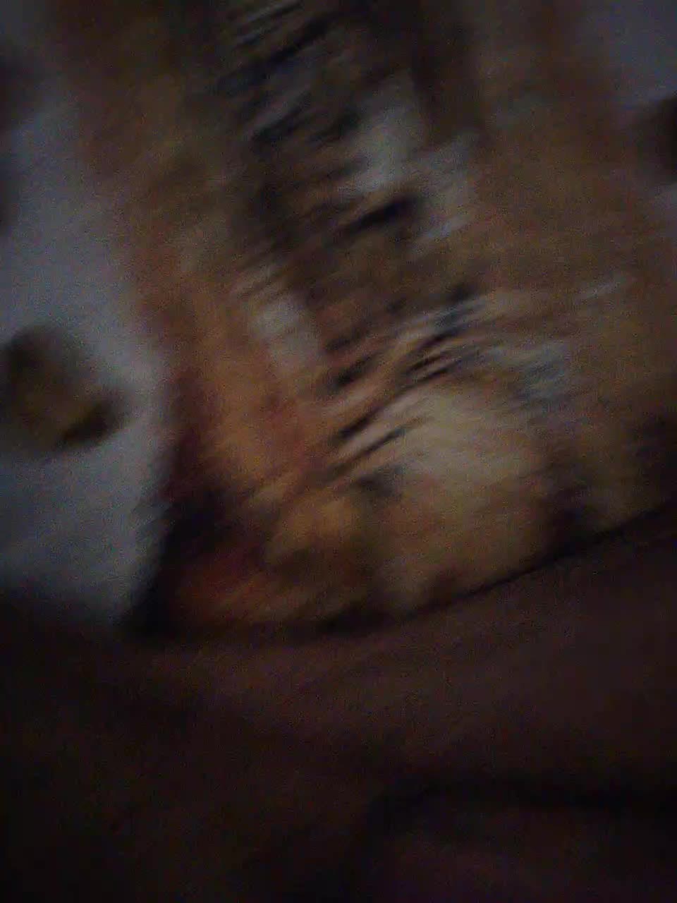 Porochka777 Cam Model Chat November 22, 2025