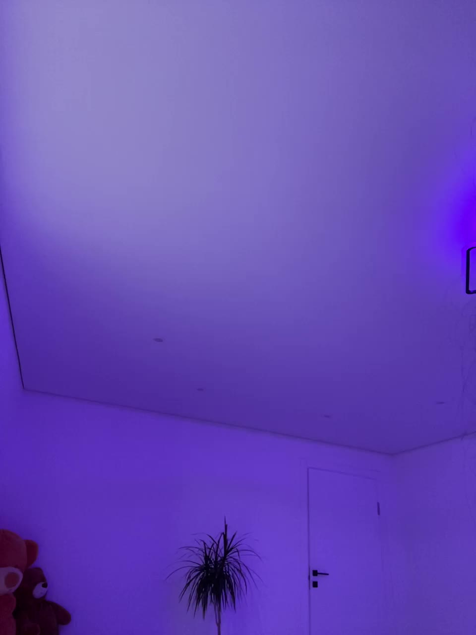 Potifays Cam Model Chat November 24, 2025