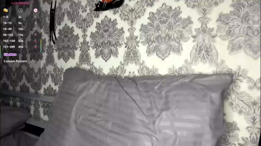 porshes Cam Model Chat November 25, 2025