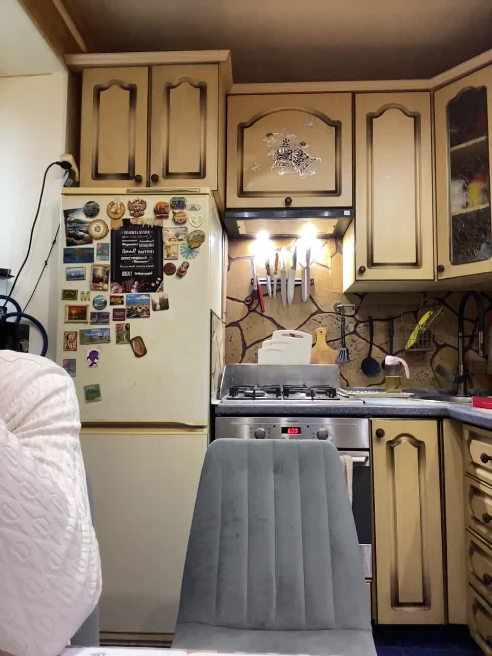 _Magic_ Cam Model Chat November 25, 2025