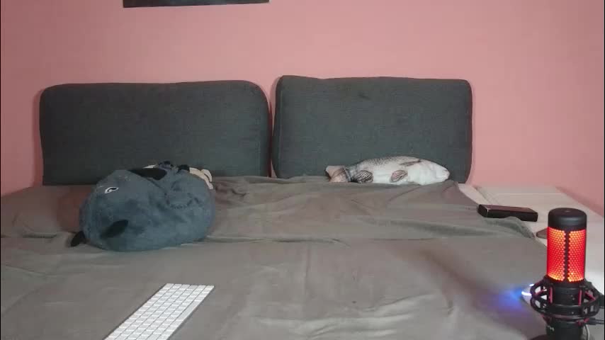 katusha008 Cam Model Chat November 26, 2025