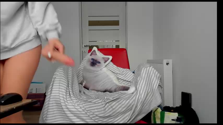 you_love_melisa Cam Model Chat November 27, 2025