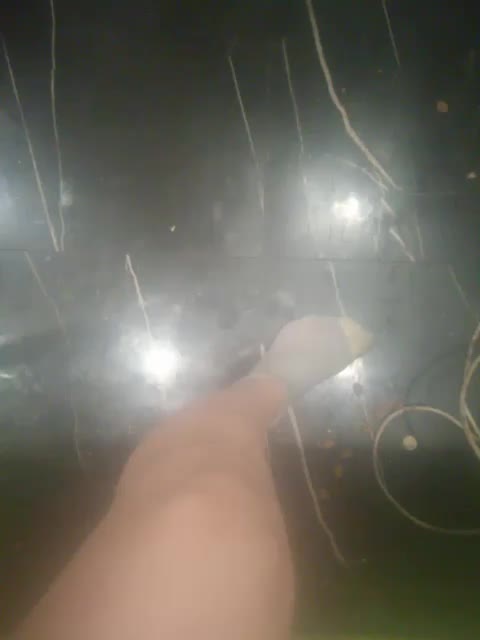 TilyTily Cam Model Chat November 27, 2025