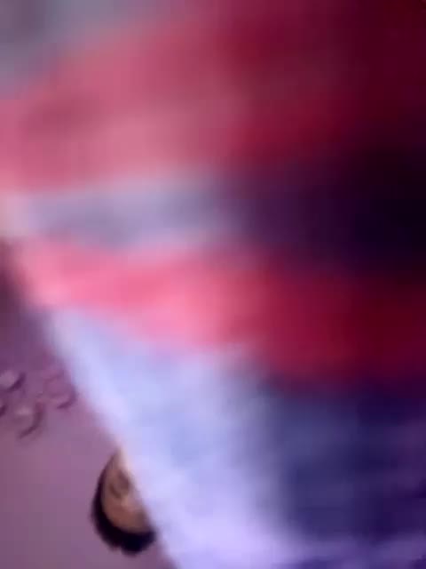 VIP17CoupleDream Cam Model Chat November 27, 2025