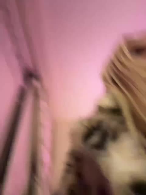 Tvoyasamka77 Cam Model Chat November 27, 2025