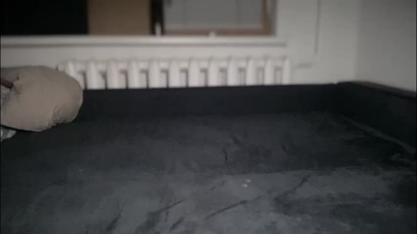 rosea_champagne Cam Model Chat November 28, 2025