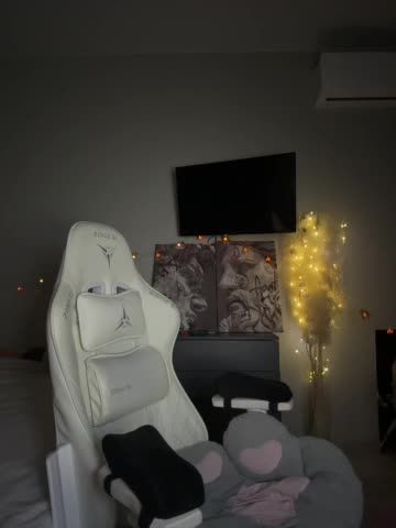 MiniNika Cam Model Chat November 28, 2025