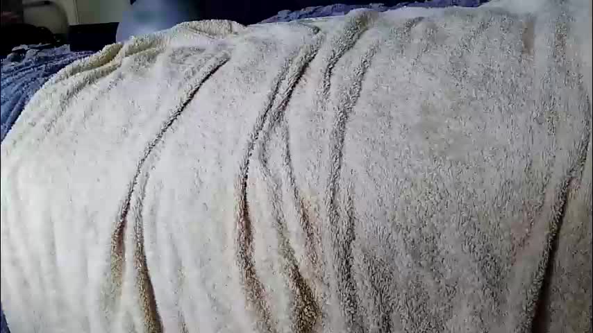 xbigtymerx Cam Model Chat December 2, 2025