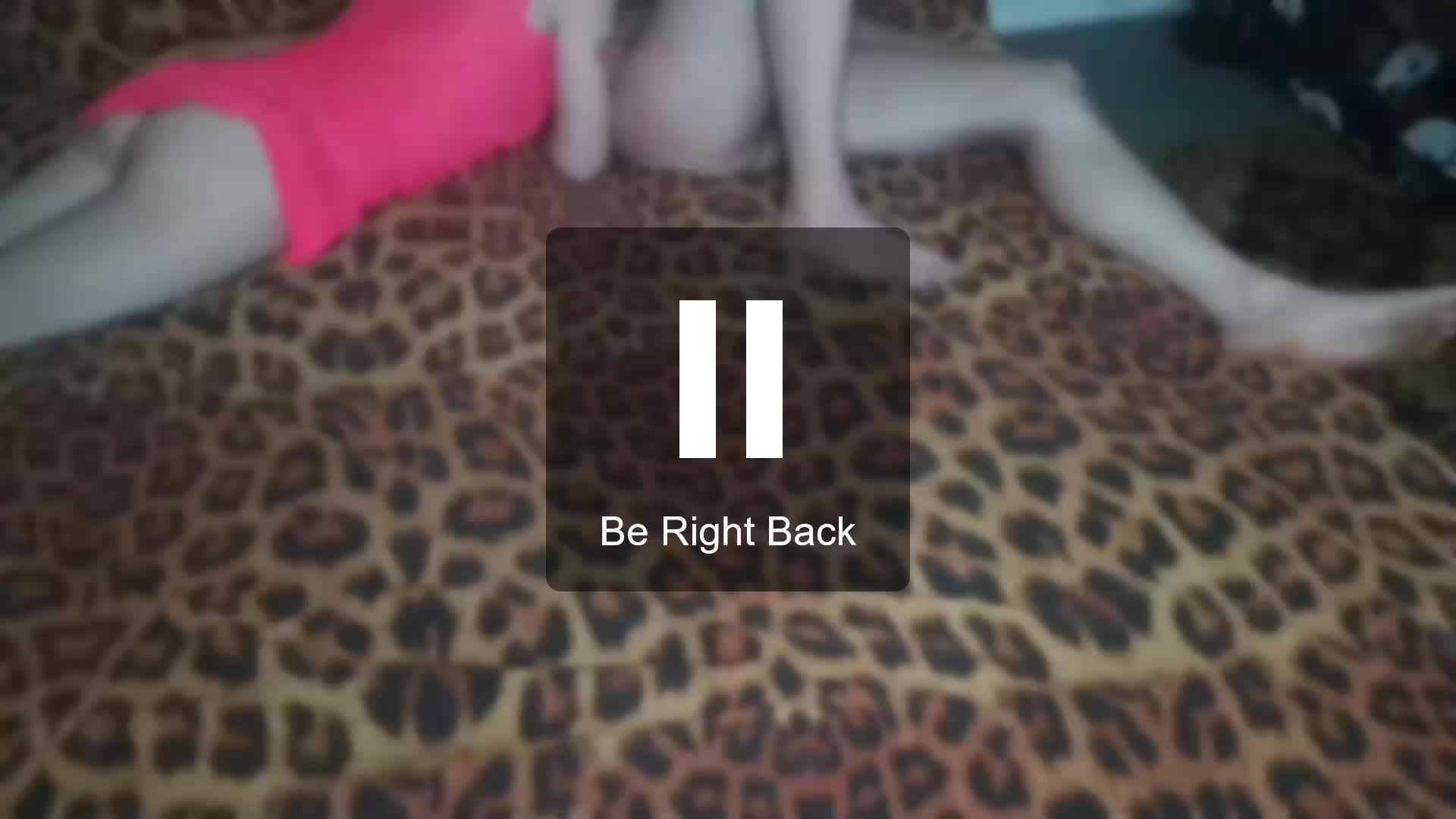 tichinkapestik Cam Model Chat December 2, 2025