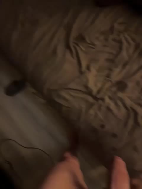 ParraTigroff Cam Model Chat December 6, 2025