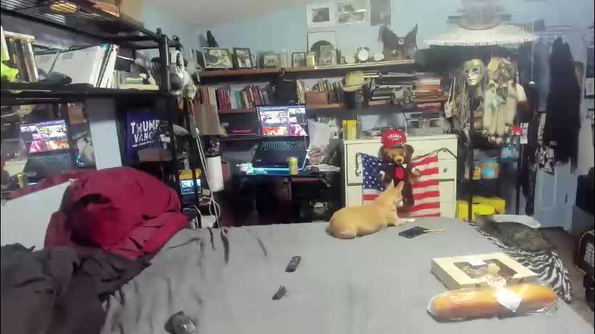 pink_black Cam Model Chat December 7, 2025