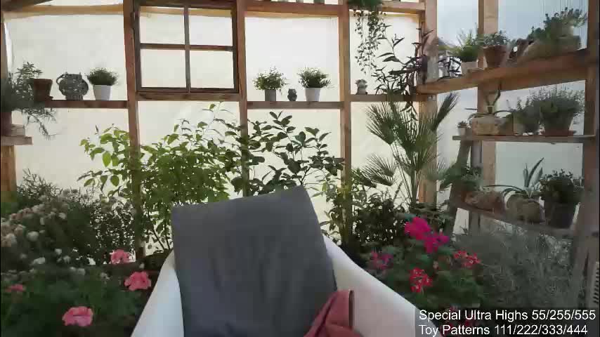 yournaughtypixie Cam Model Chat December 7, 2025