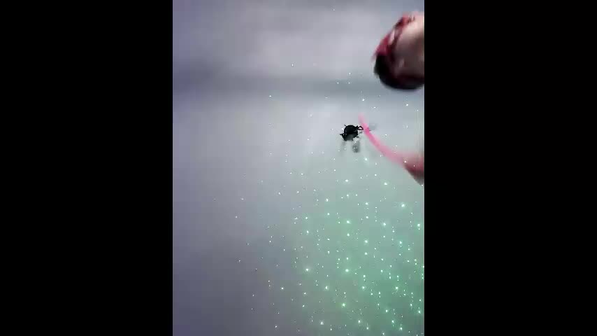 misisssex Cam Model Chat December 7, 2025