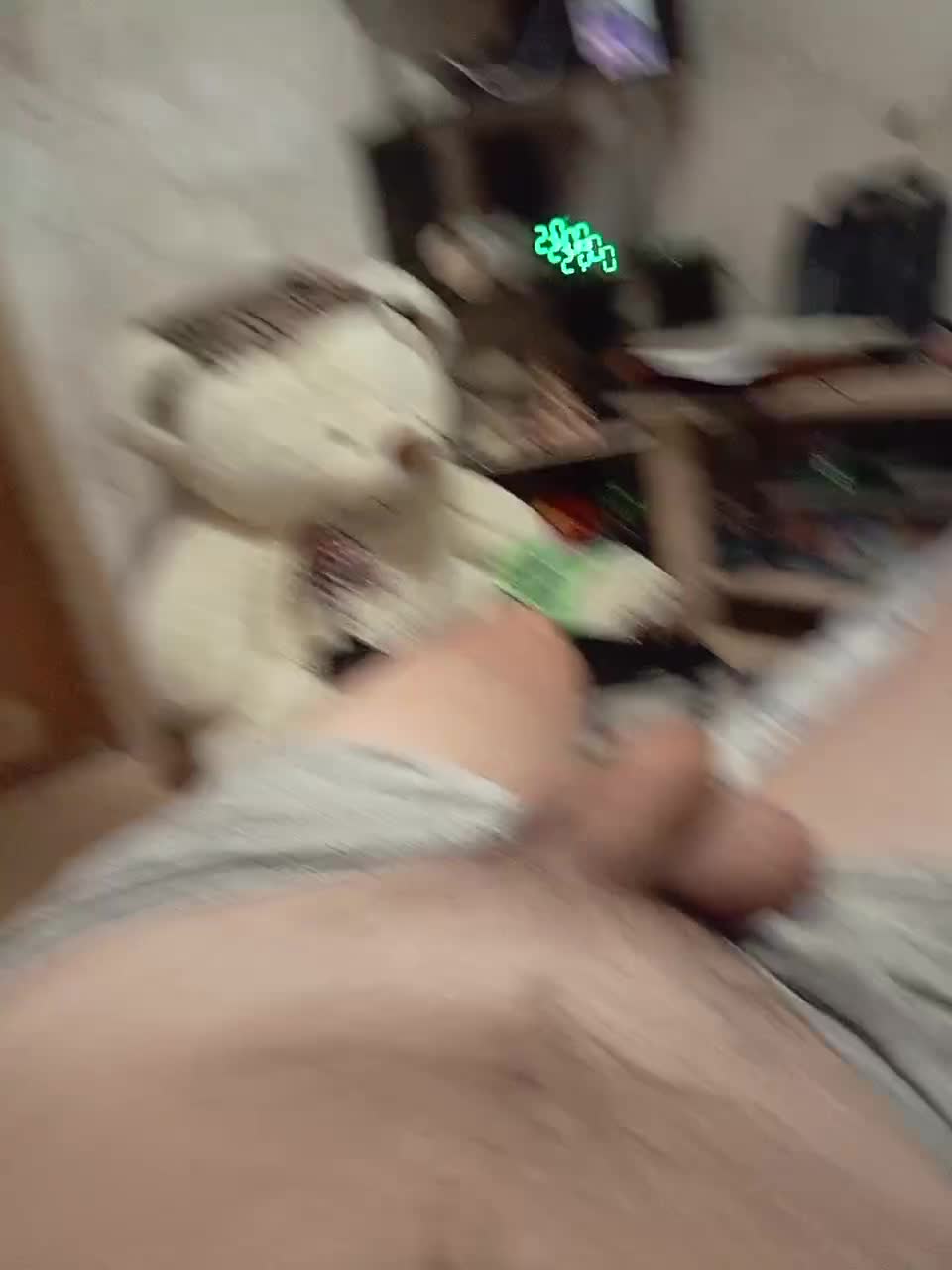 Schastlivchik10 Cam Model Chat December 8, 2025