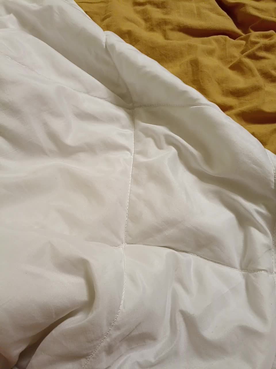 GSNAMI Cam Model Chat December 8, 2025