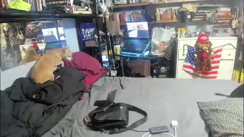 pink_black Cam Model Chat December 8, 2025