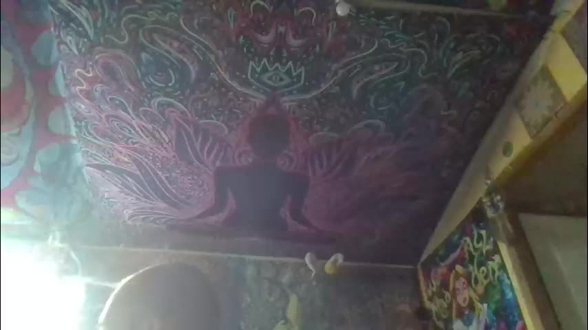 couple2921 Cam Model Chat December 8, 2025