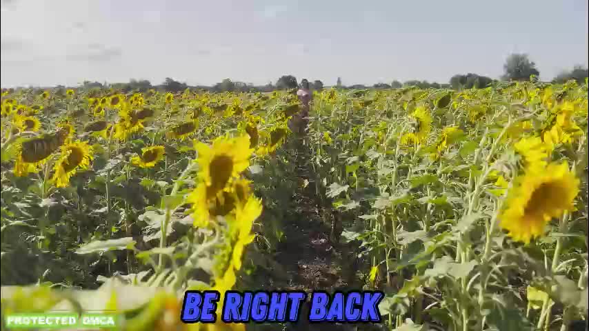 sunflower0907 Cam Model Chat December 8, 2025