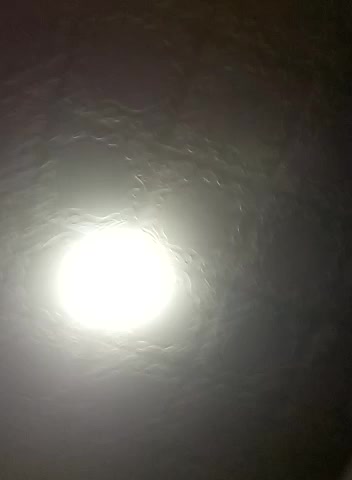 Greta_Tamar Cam Model Chat December 8, 2025