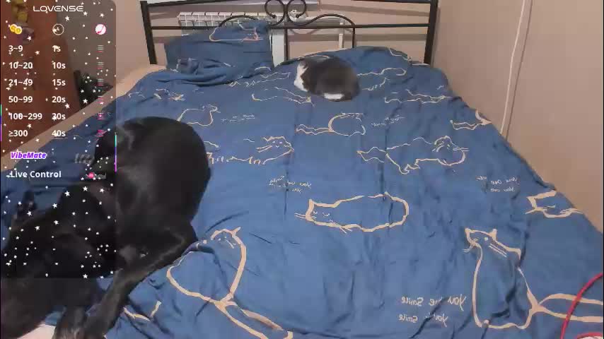 eva_zero Cam Model Chat December 9, 2025