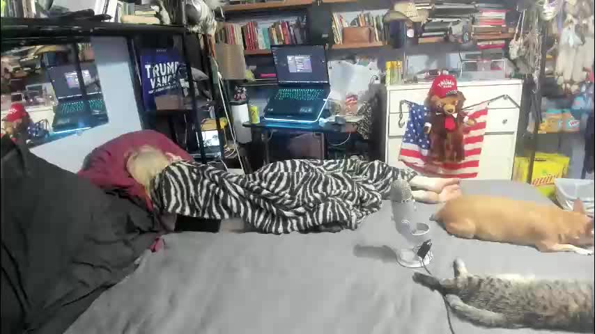 pink_black Cam Model Chat December 10, 2025