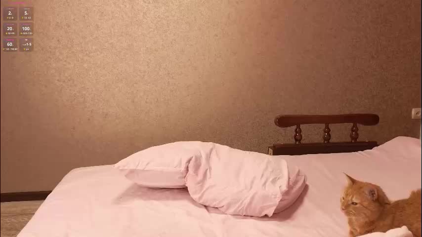 totallytiny_ Cam Model Chat December 10, 2025