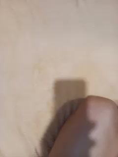 Cottoncandy1-1 Cam Model Chat December 10, 2025