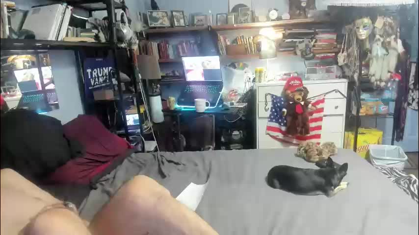 pink_black Cam Model Chat December 10, 2025