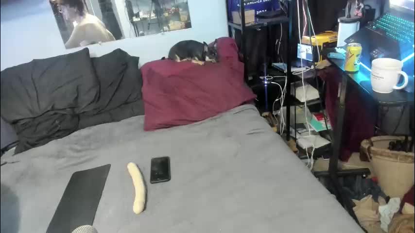 pink_black Cam Model Chat December 11, 2025