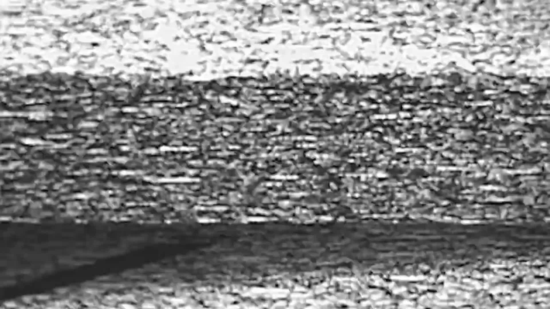 TwiceAsHotXXX Cam Model Chat December 11, 2025