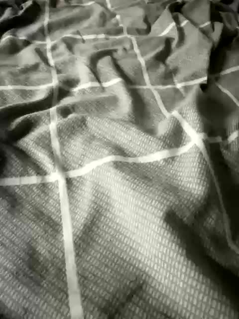 Parasureseks Cam Model Chat December 11, 2025