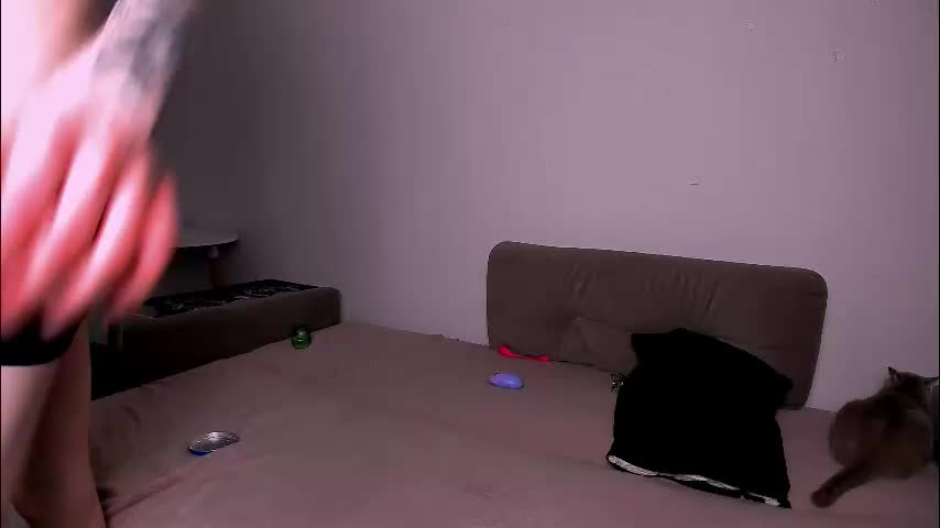 ladytrep Cam Model Chat December 11, 2025