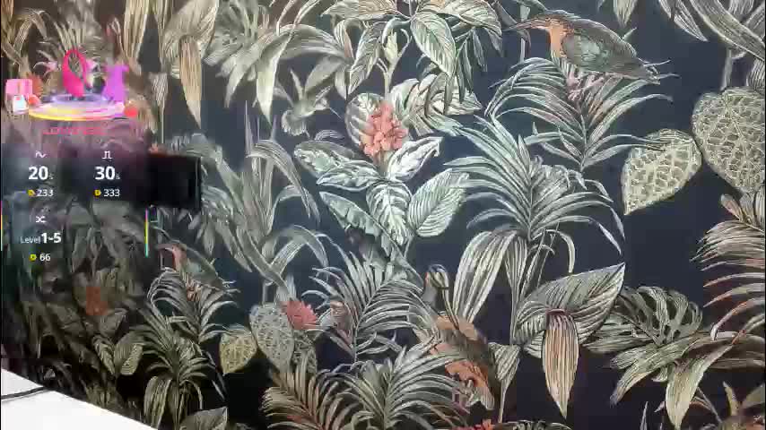 dyafirst Cam Model Chat December 11, 2025