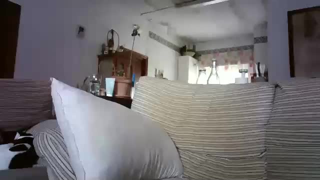 lolahueso Cam Model Chat December 12, 2025