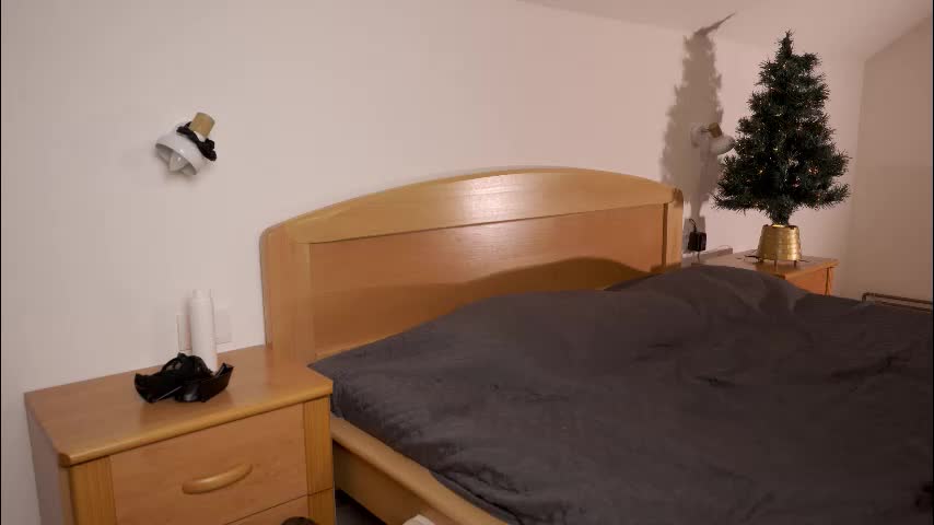 foxeslovefoxes Cam Model Chat December 13, 2025