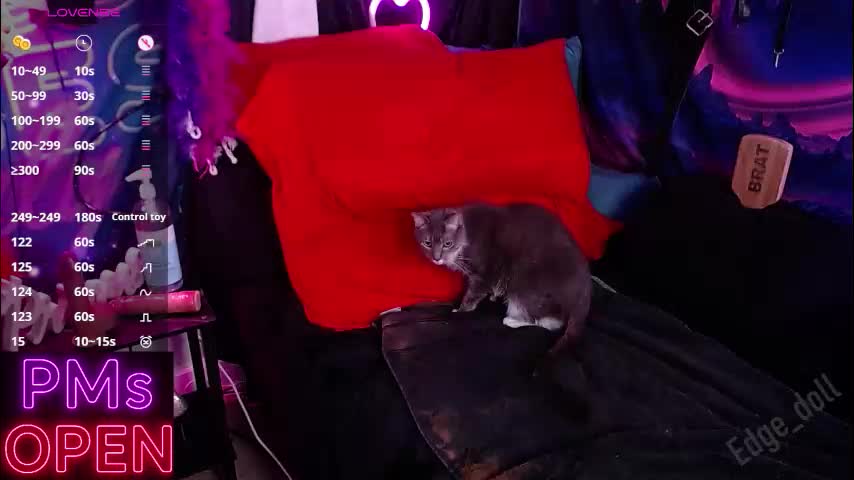 edge_doll Cam Model Chat December 14, 2025