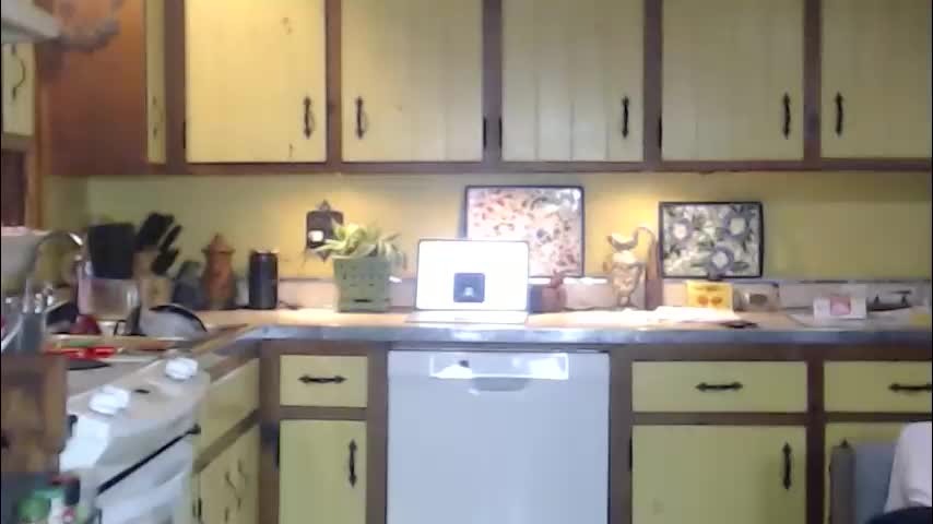 catalystic Cam Model Chat December 14, 2025