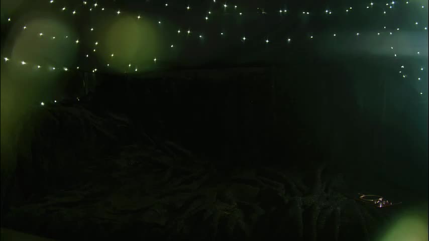 littlespacemouse Cam Model Chat December 14, 2025