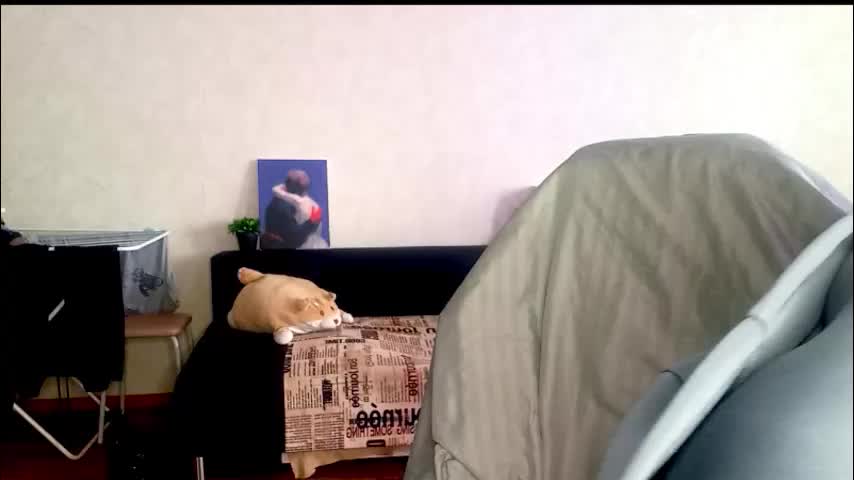 sonya_mikki Cam Model Chat December 14, 2025