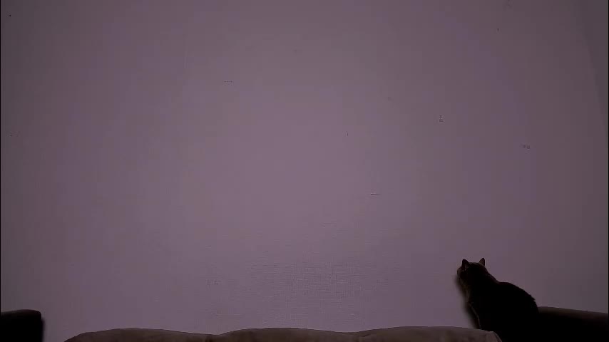 ladytrep Cam Model Chat December 14, 2025