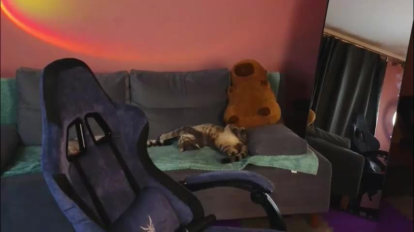 _capybara0_0 Cam Model Chat December 14, 2025