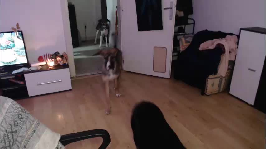 aliens4twenty Cam Model Chat December 14, 2025