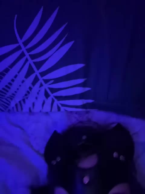 SashaXXXtasy Cam Model Chat December 14, 2025