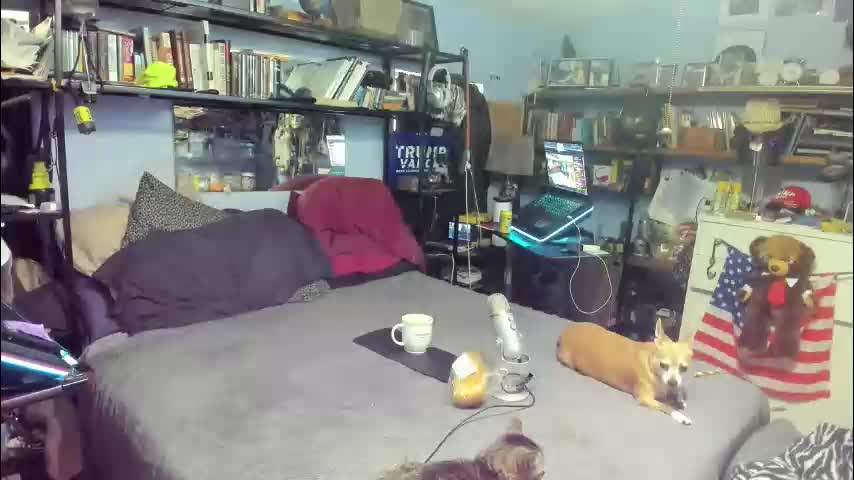 pink_black Cam Model Chat December 14, 2025