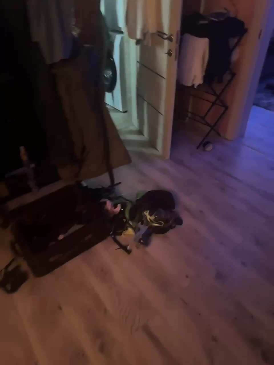 Neulovimie Cam Model Chat December 15, 2025